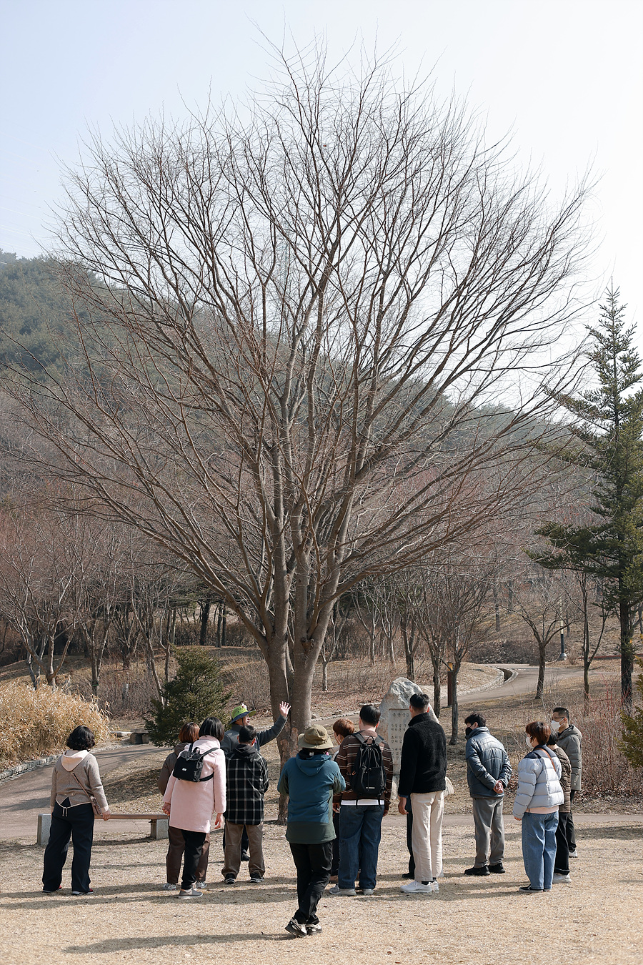 b4d994f5a9e4ed4ce9582ffe82917392_1773747406_2328.jpg b4d994f5a9e4ed4ce9582ffe82917392_1773747406_2328.jpg